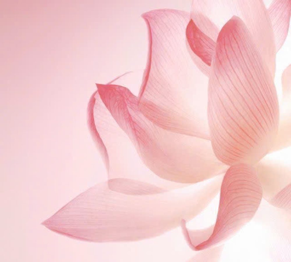 z6580100141636_a09331d58c420b63f26f247fa003a7a1